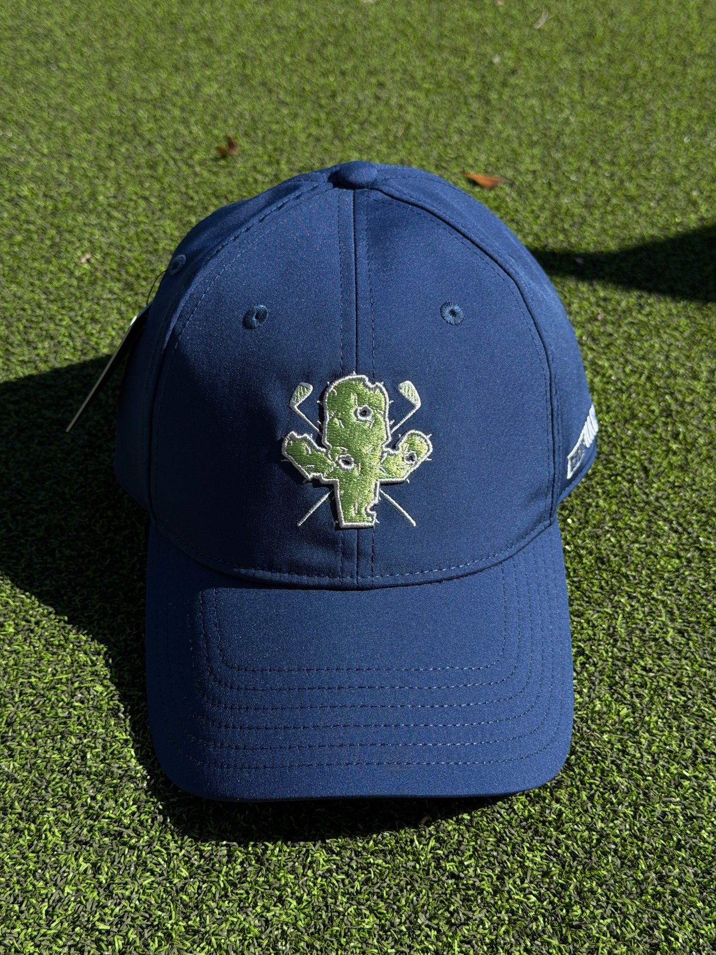 Mascot Dad Hat - Blue